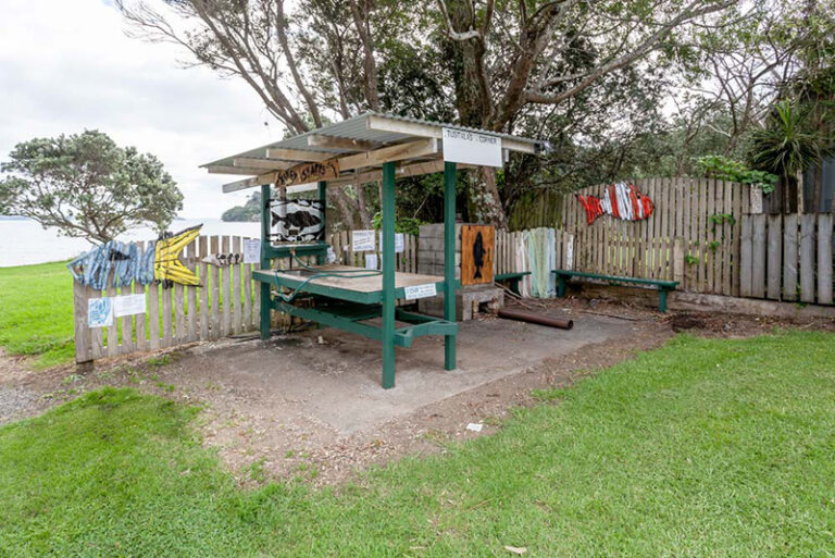 Fish Cleaning Space 800w 768x513