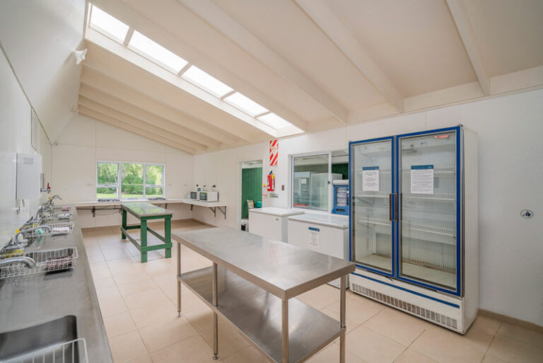 Kitchen Block 800w 1 768x513