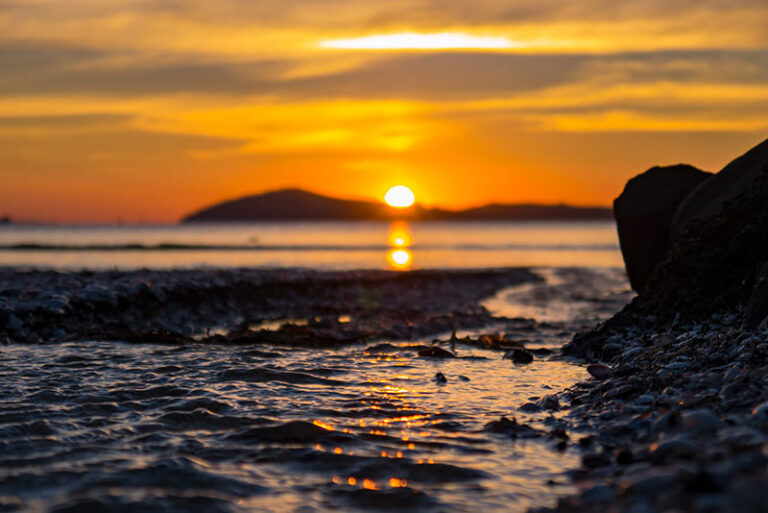 Shelly Beach Sustainability 800w 768x513