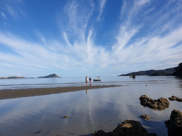 20210423 090923 scaled 1 768x576