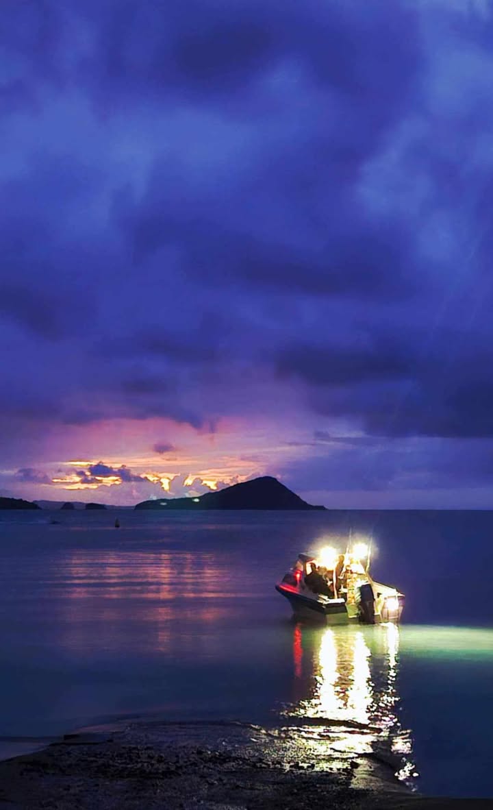 524316941 1990746348498427 7003624185109880021 n