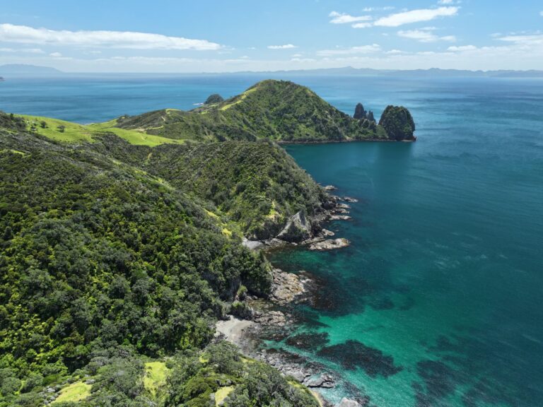 738e81d4 f9f8 4fd7 9ddb 64892e4e2406 768x576