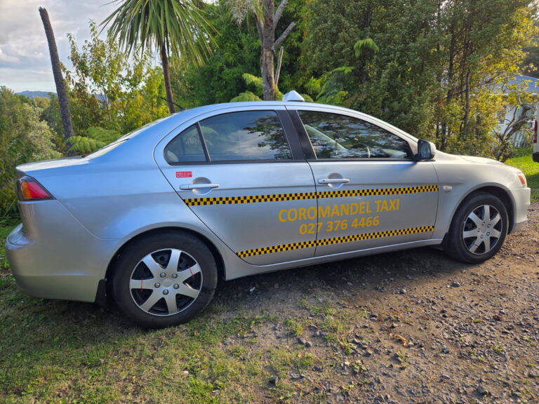 1000000056 1 768x576