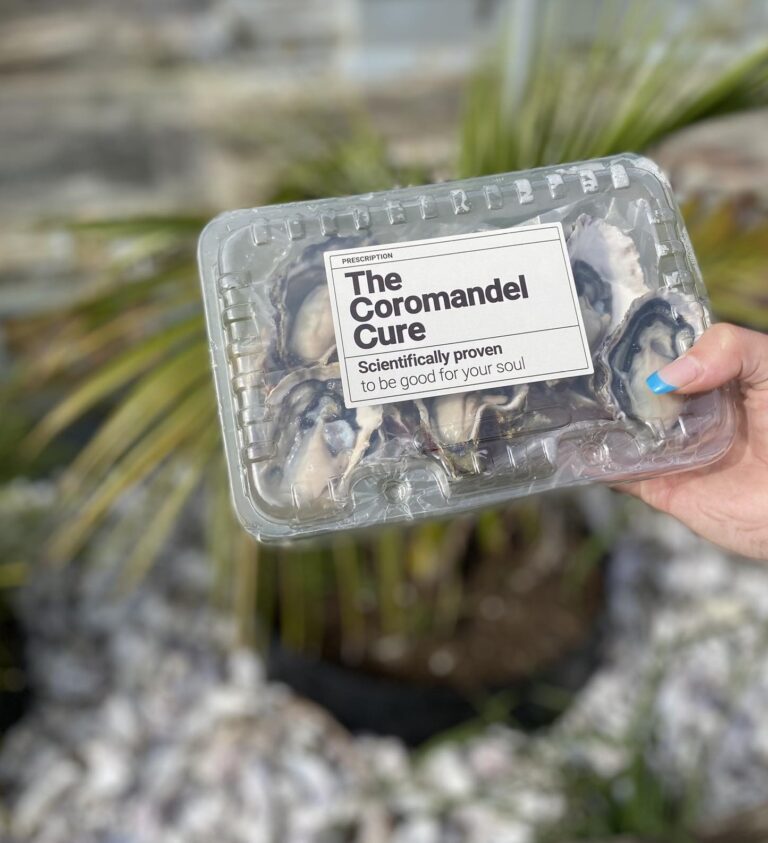 coro cure half shell 768x843